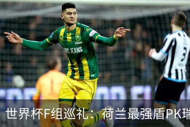 世界杯F组巡礼：荷兰最强盾PK瑞典犀利刀 日本短板明显